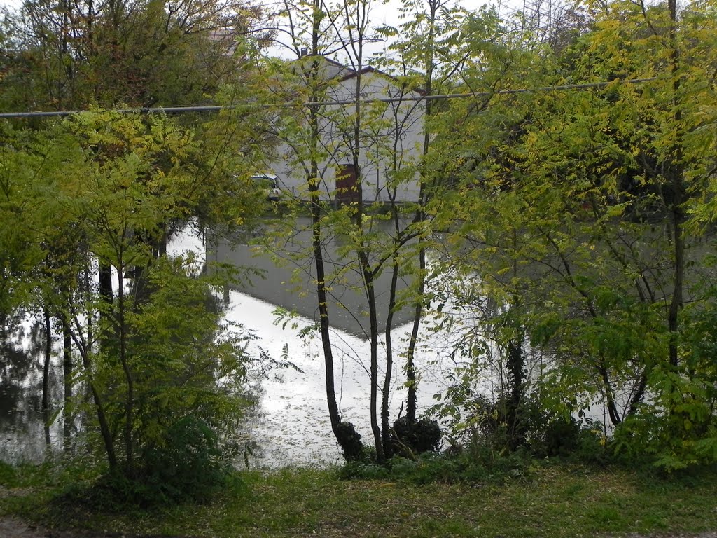 Alluvione del 2 -  11 - 2010