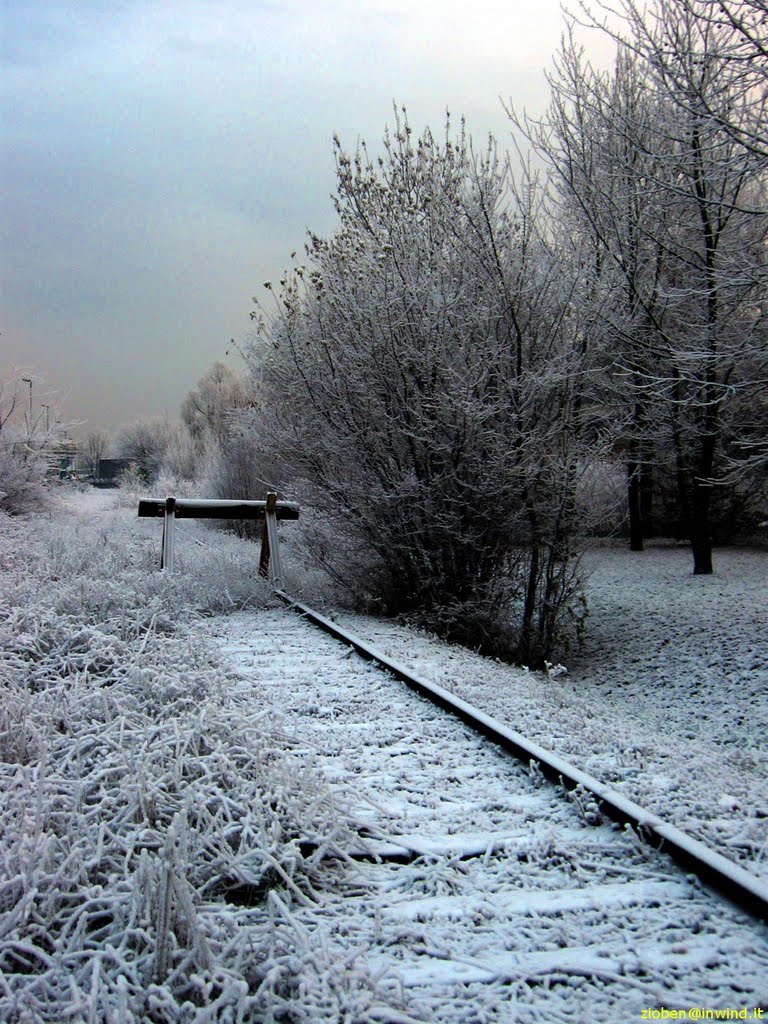 Padova, dicembre 2010