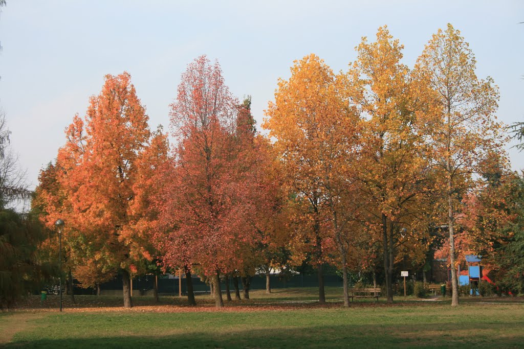 autumn colors