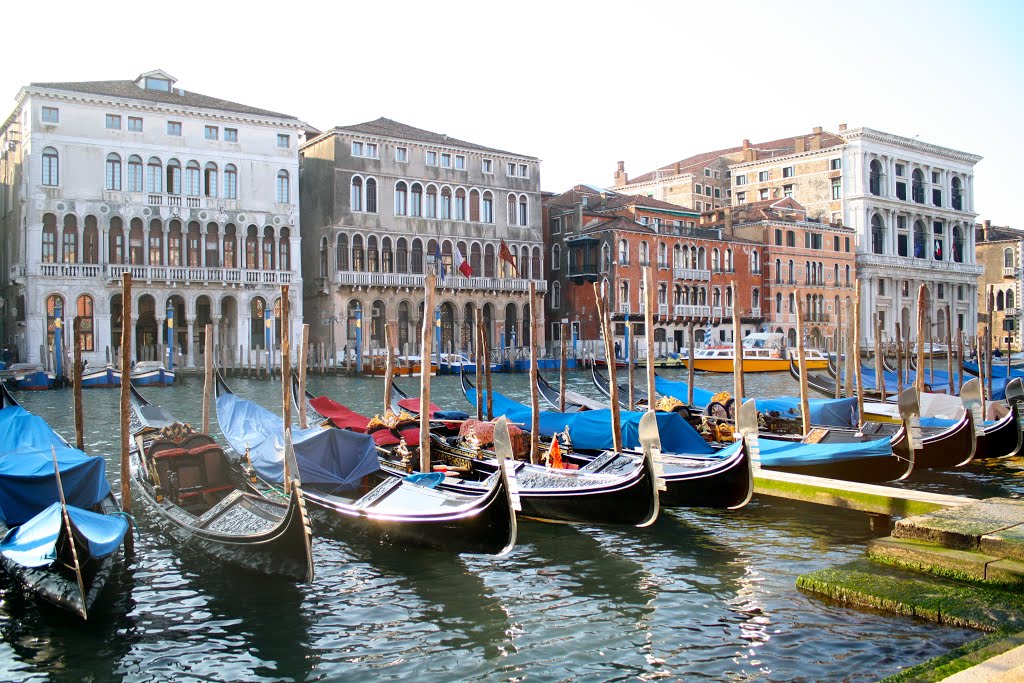 Canal Grande. Venezia.