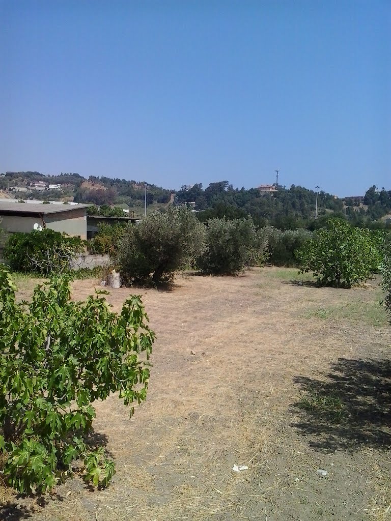Agriculture in Italy