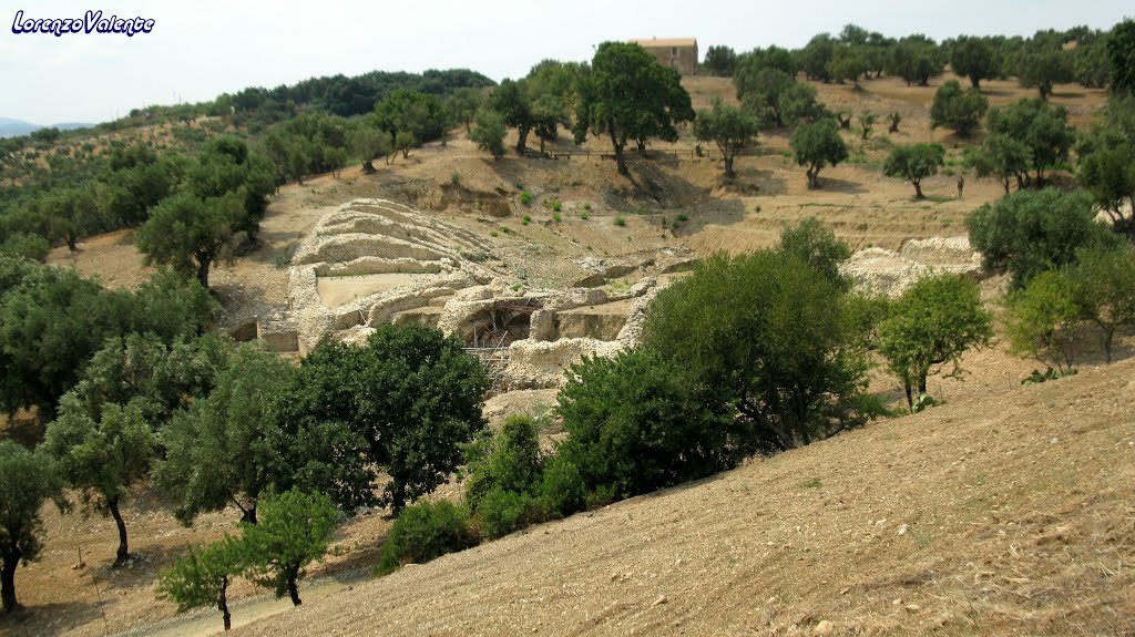 Roccelletta di Borgia - CZ - Parco archeologico di Scolacium -lanfiteatro romano