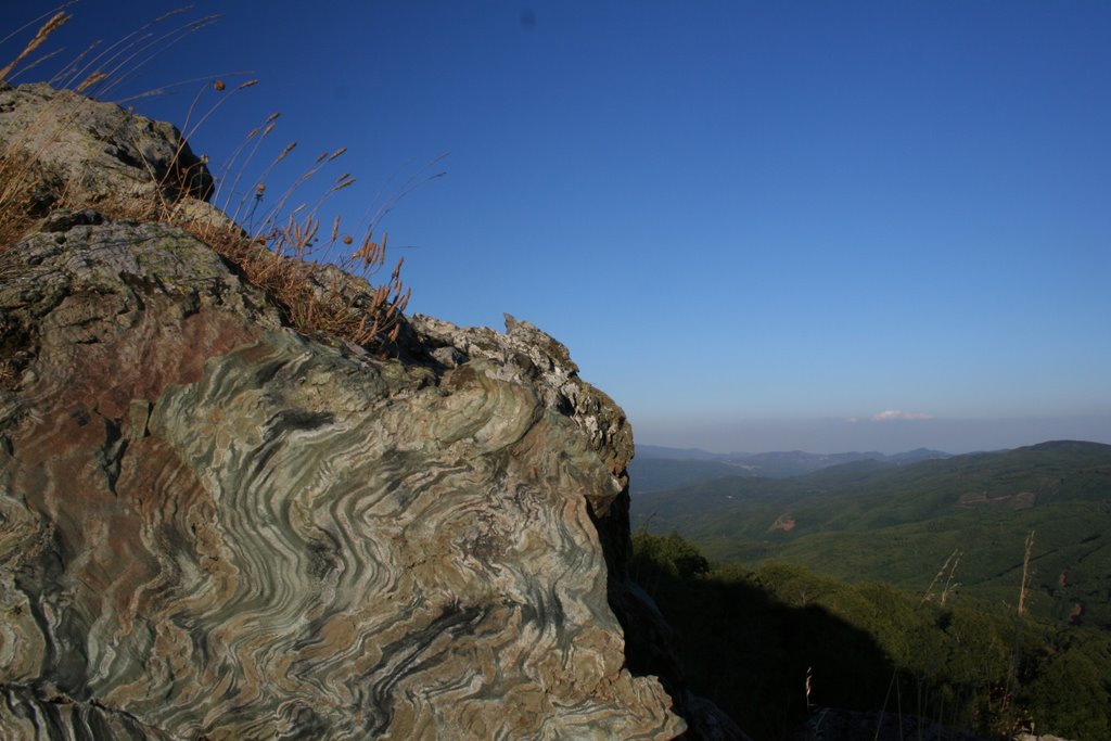 ROCCE VERDI DEL REVENTINO Platania