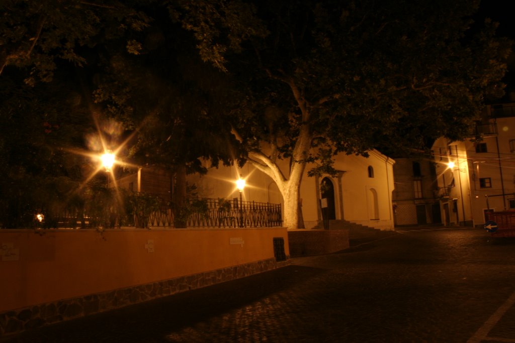 Platania notturno "la villa"