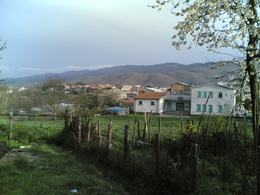 panorama da paoli