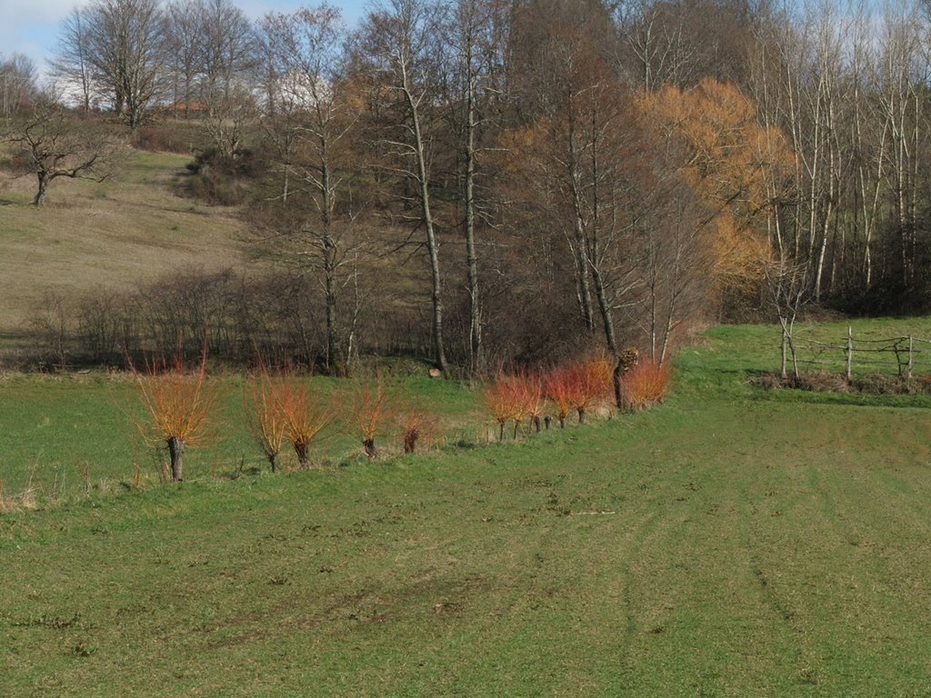 ad un certo punto, nella valle fra Decollatura e Soveria Mannelli