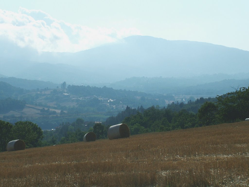monte reventino da soveria mannelli