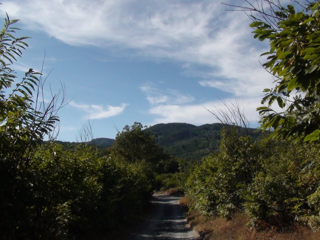 monte Reventino