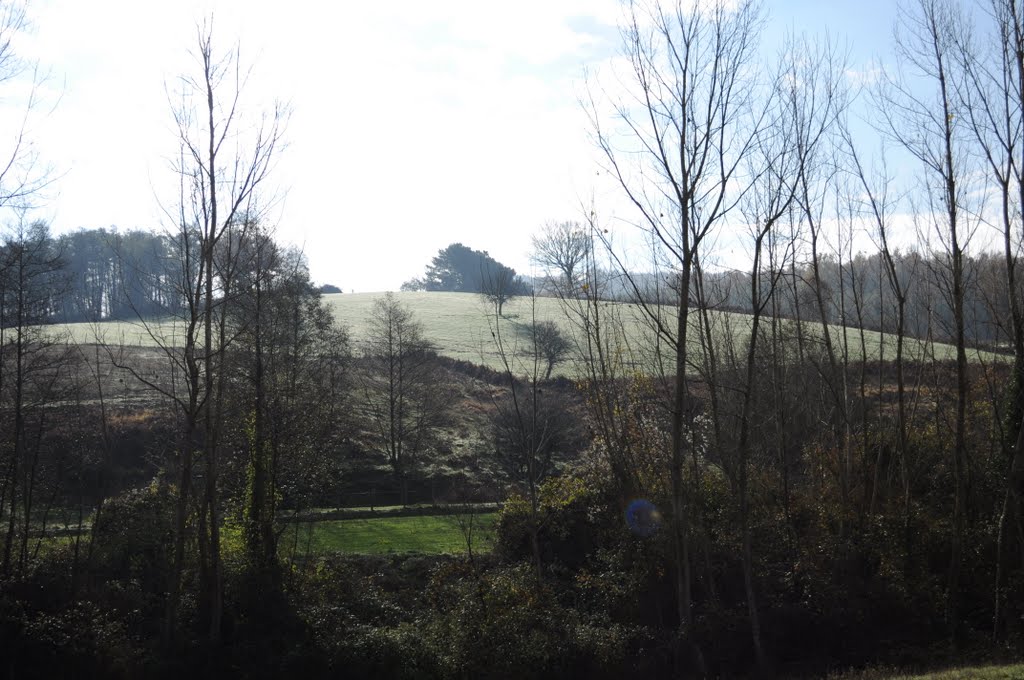 collina