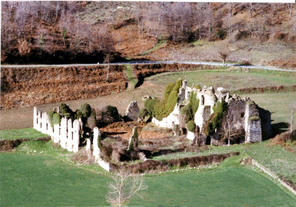 Abbazia di Corazzo - veduta aerea