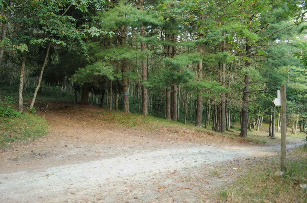 traverse