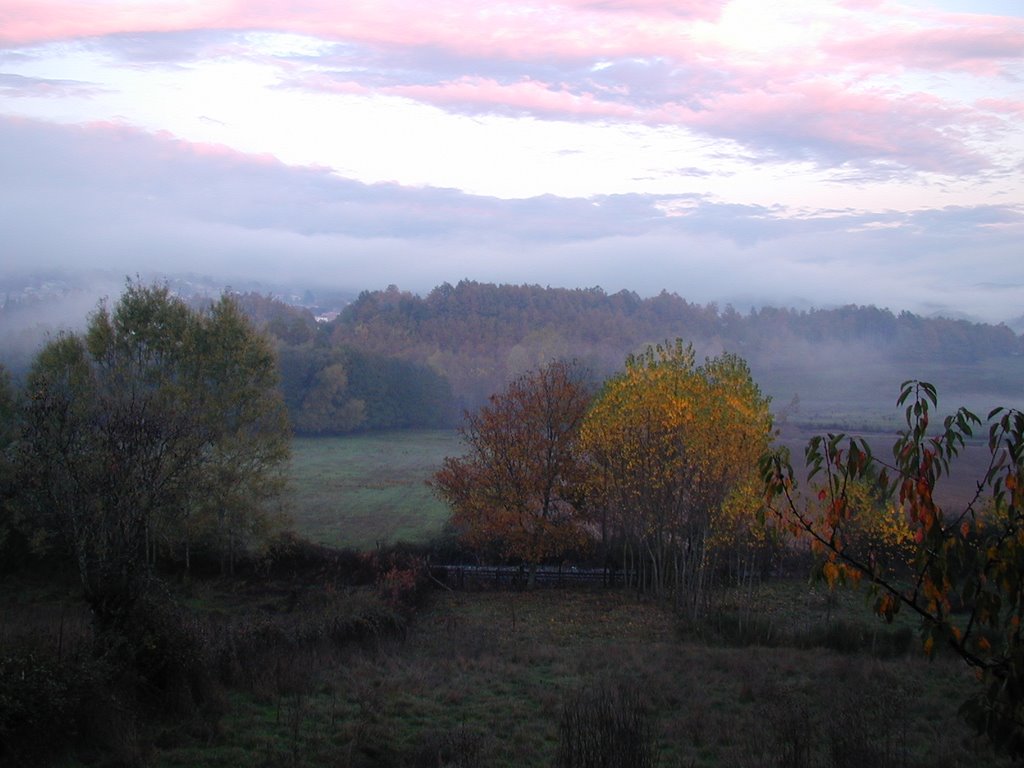 carricella