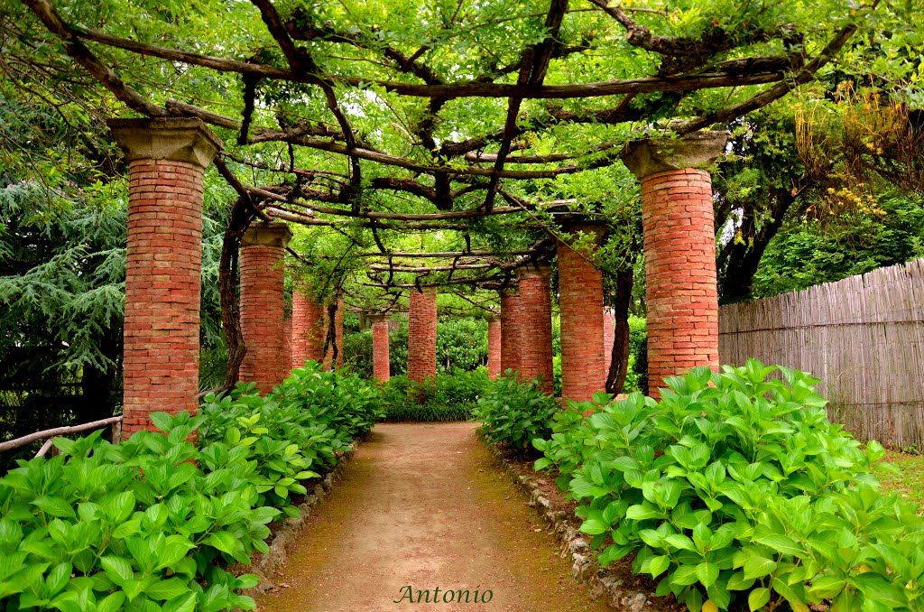 giardino dei misteri