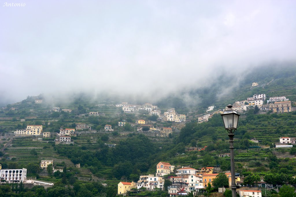 la foschia del mattino