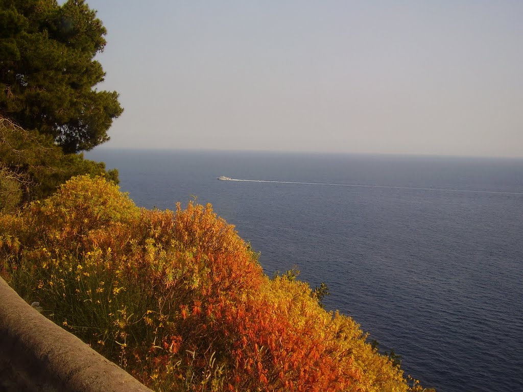 Amalfi coast (Contest 2/2011)