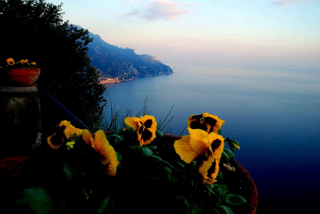 profumo...di mare