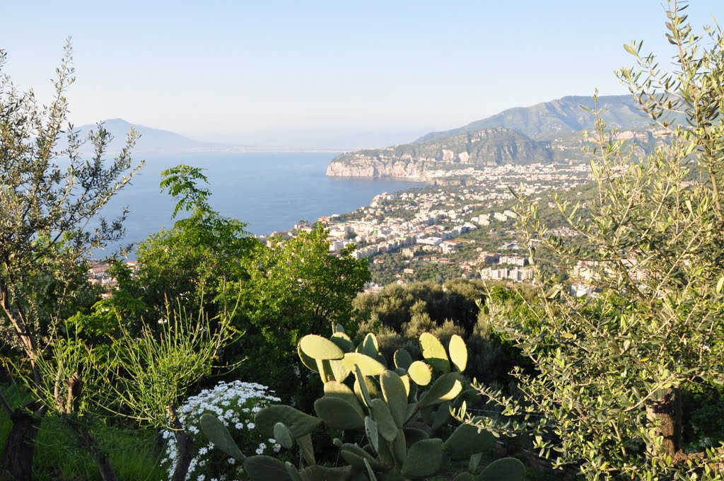 Sorrento (from La vue dor)