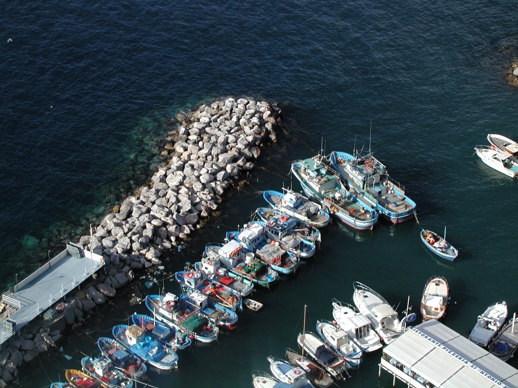 Fishing boats