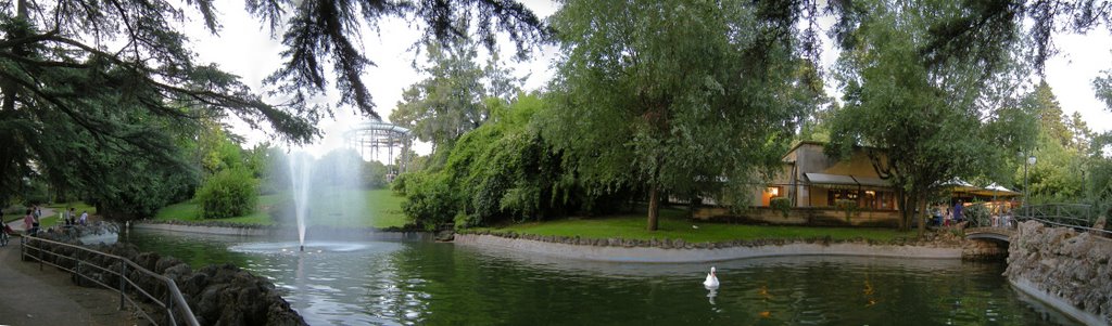 Swan lake inside public garden