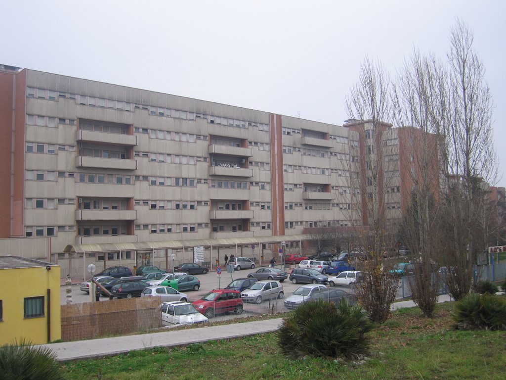 Padiglione San Pio da Pietrelcina