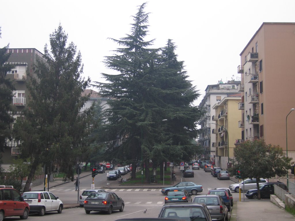 via Nicola Sala