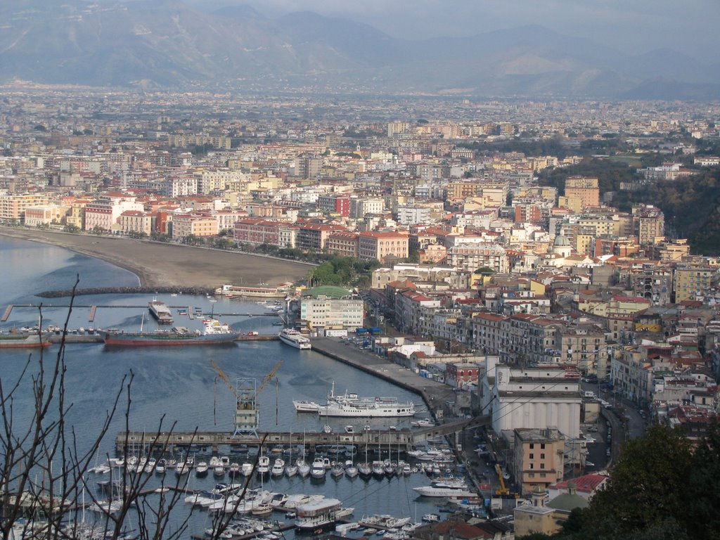 Zona del Porto vista da Madonna della Libera