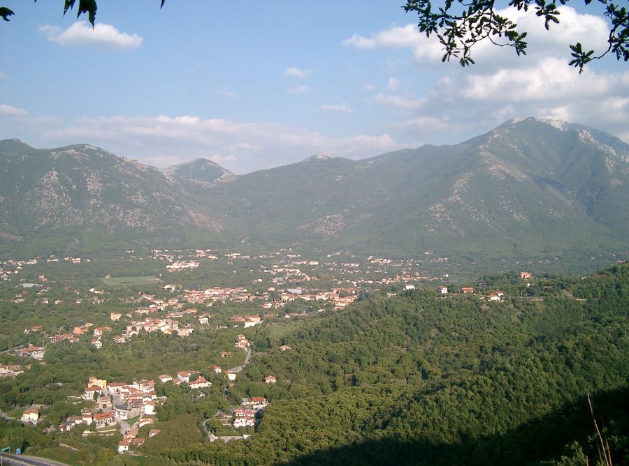 Serino01