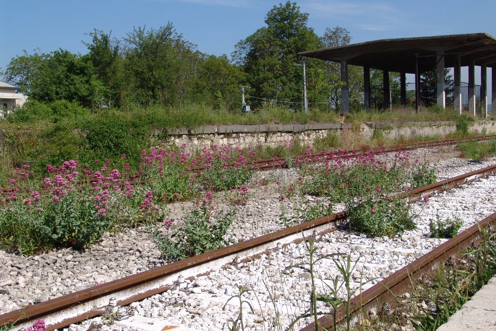 GDA - Serino, la stazione ferroviaria - 2007