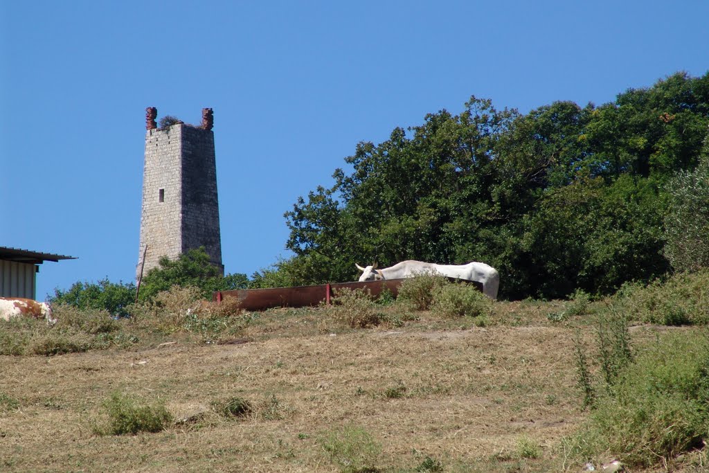 GDA - Solofra - 2007