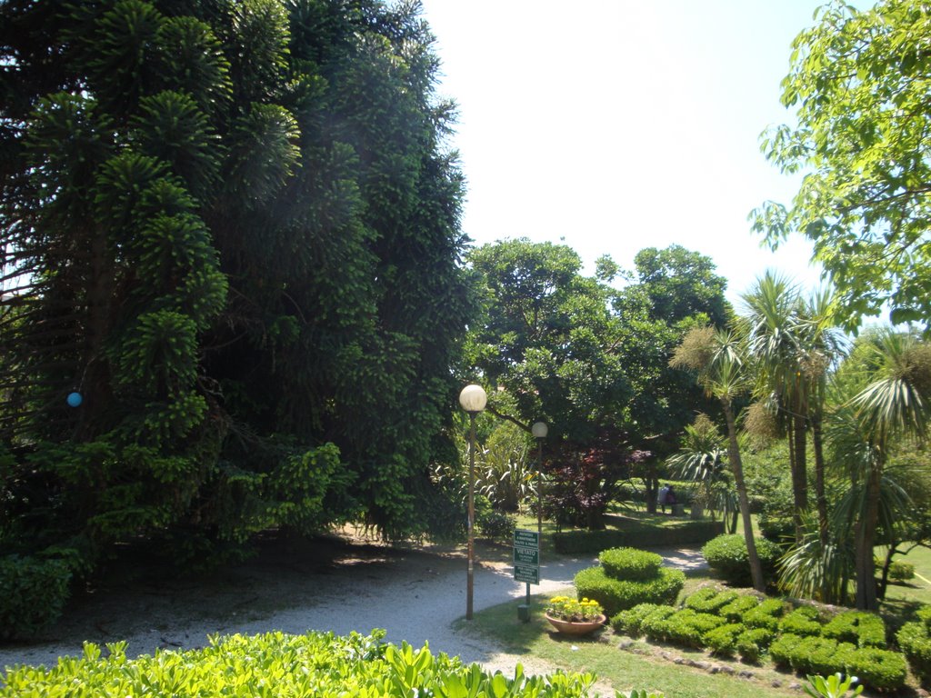 Villa Avellino