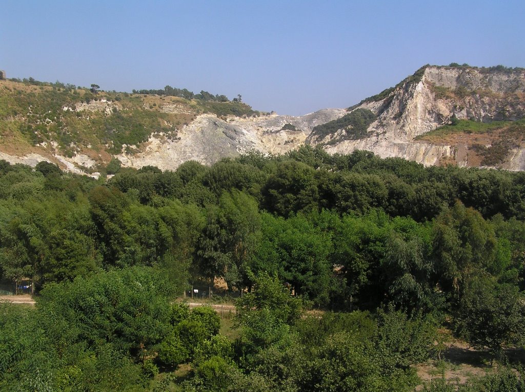 Macchia Mediterranea nel cratere della Solfatara