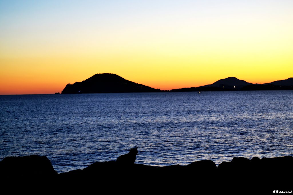 Capo Miseno and the cat