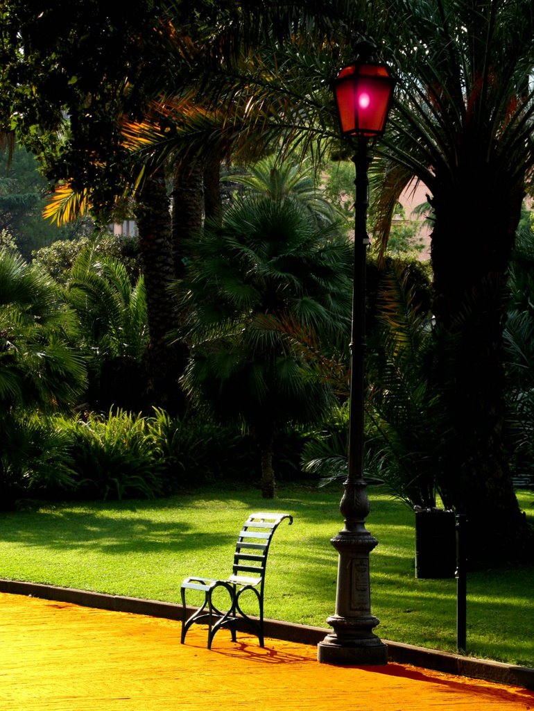 Salerno (For single)