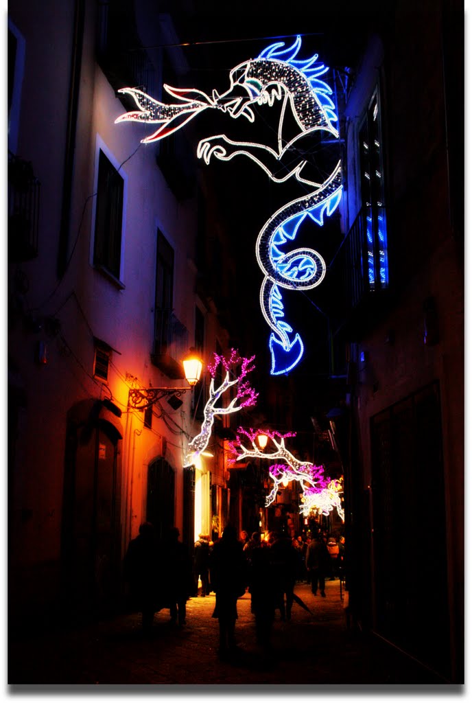 Salerno (Authors lights 2009)