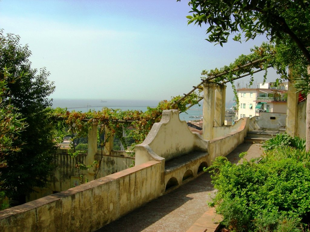 Salerno