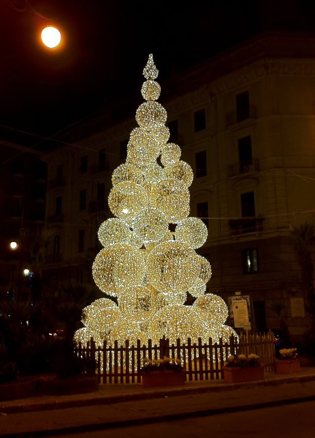 Albero in Piazza ferrovia
