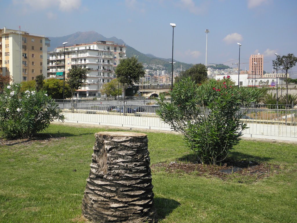 SALERNO