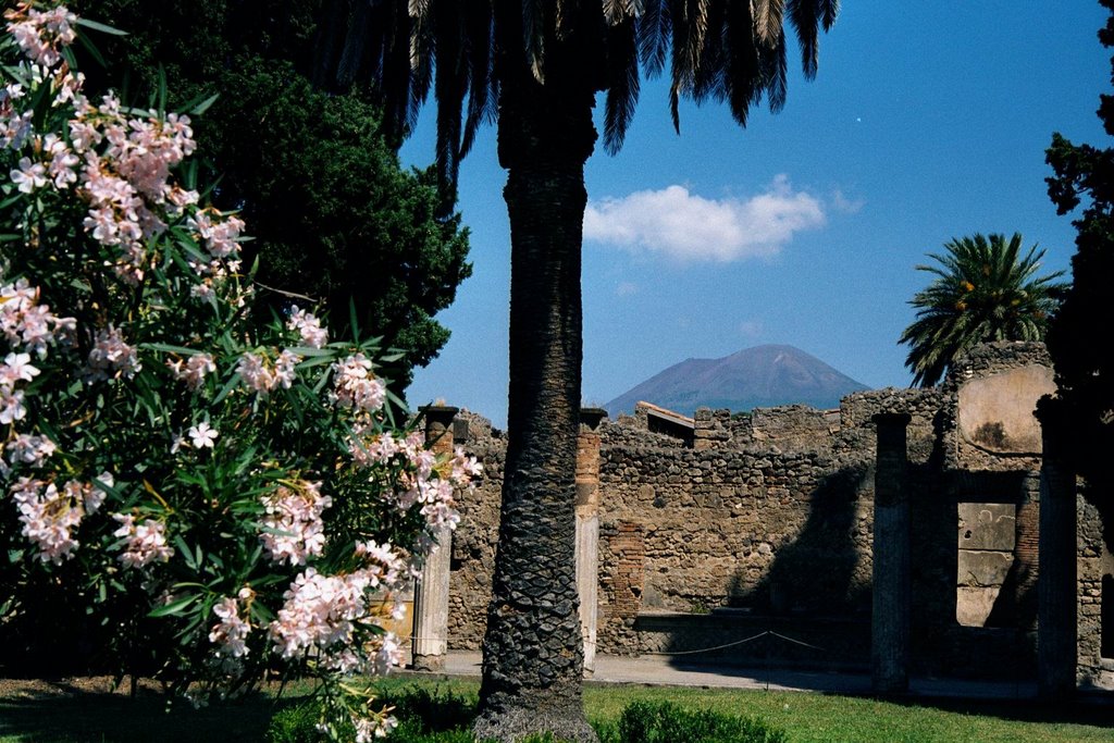 Pompeii 8