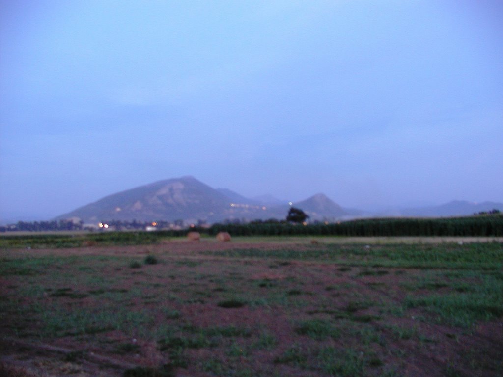 Vezuv