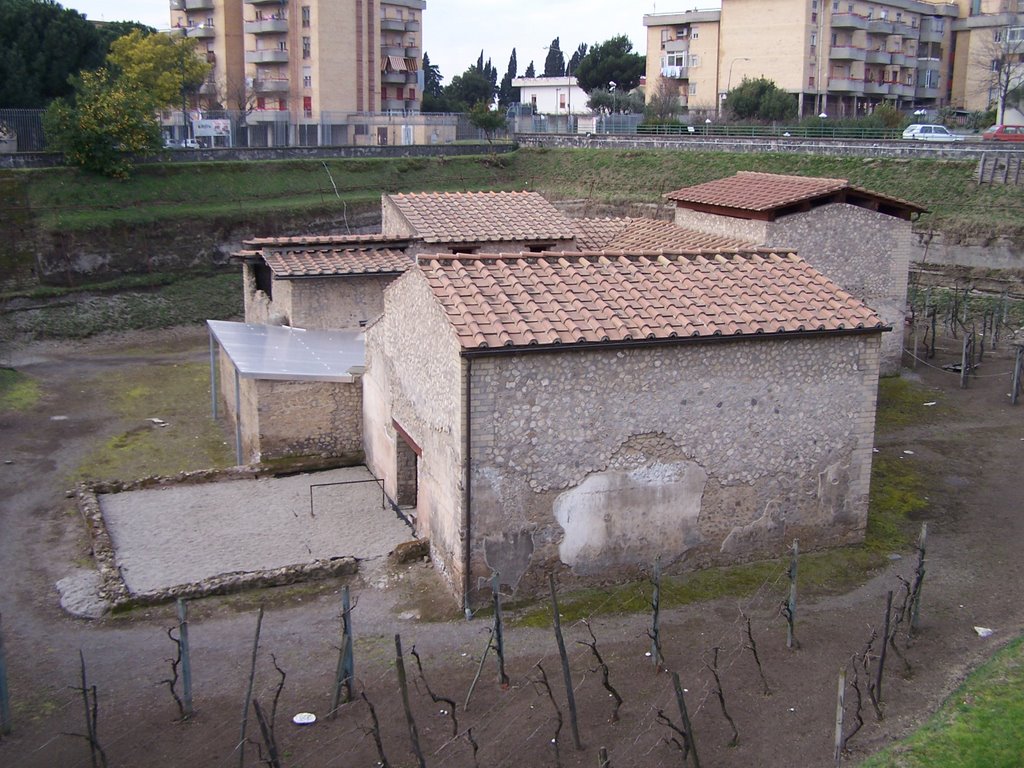 Boscoreale - La Fattoria Romana