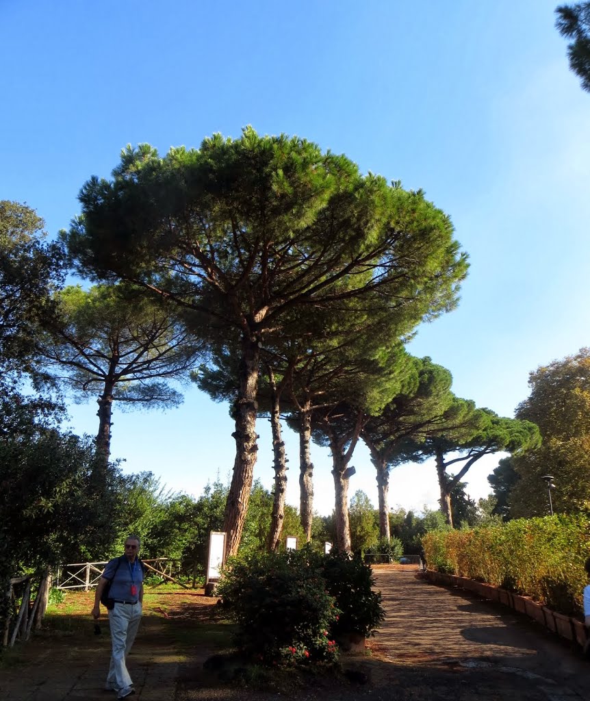 Pompei