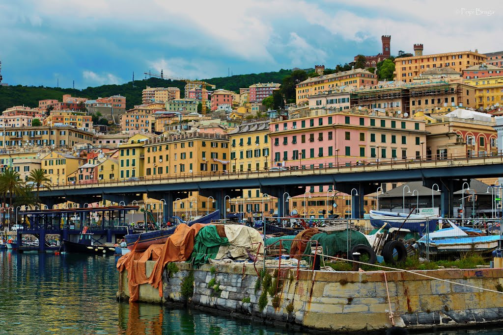 Old  Genoa - La Darsena