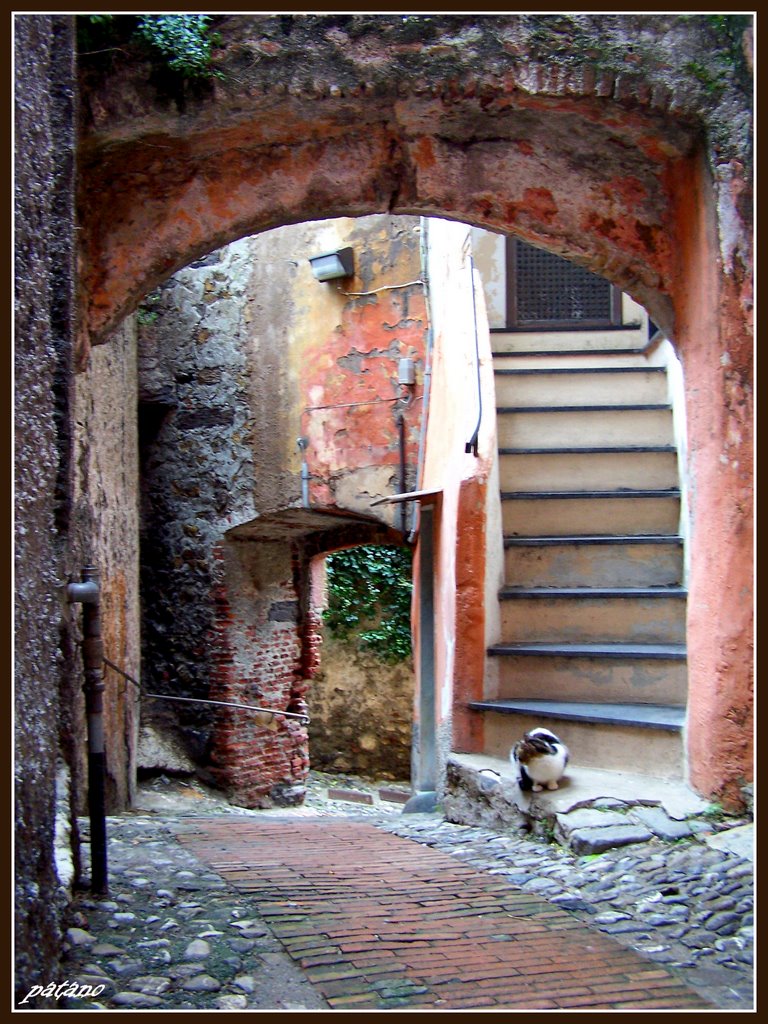 scala custodita