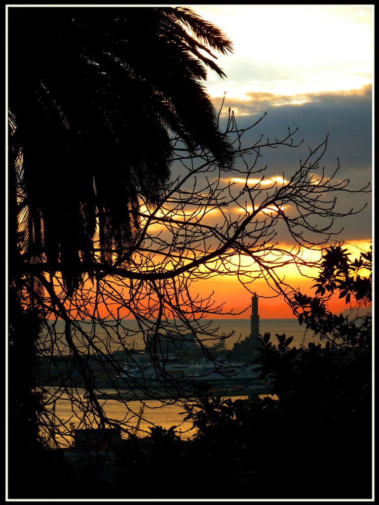 Villa Piaggio, Genova