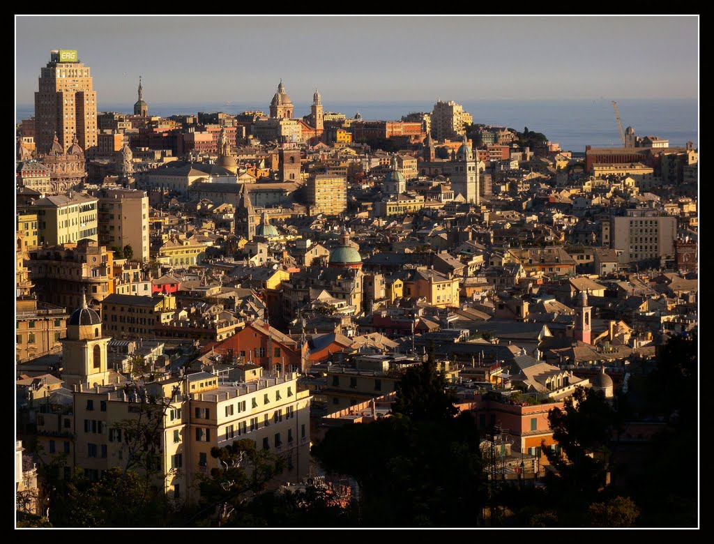 Genoa