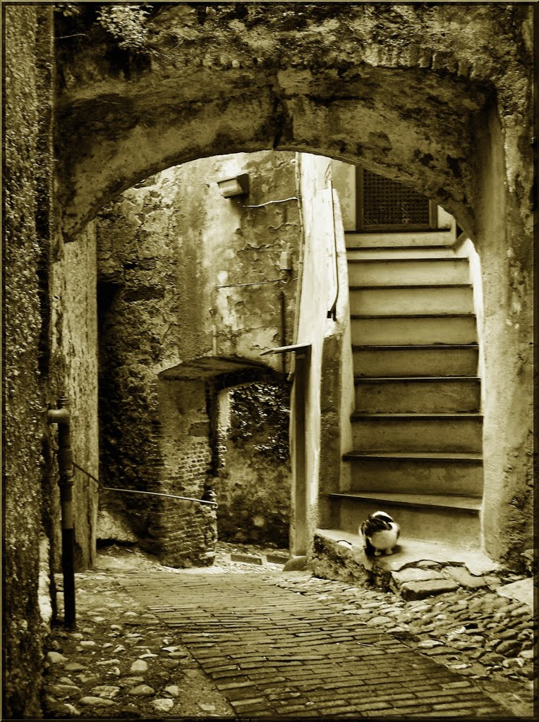 il Carmine