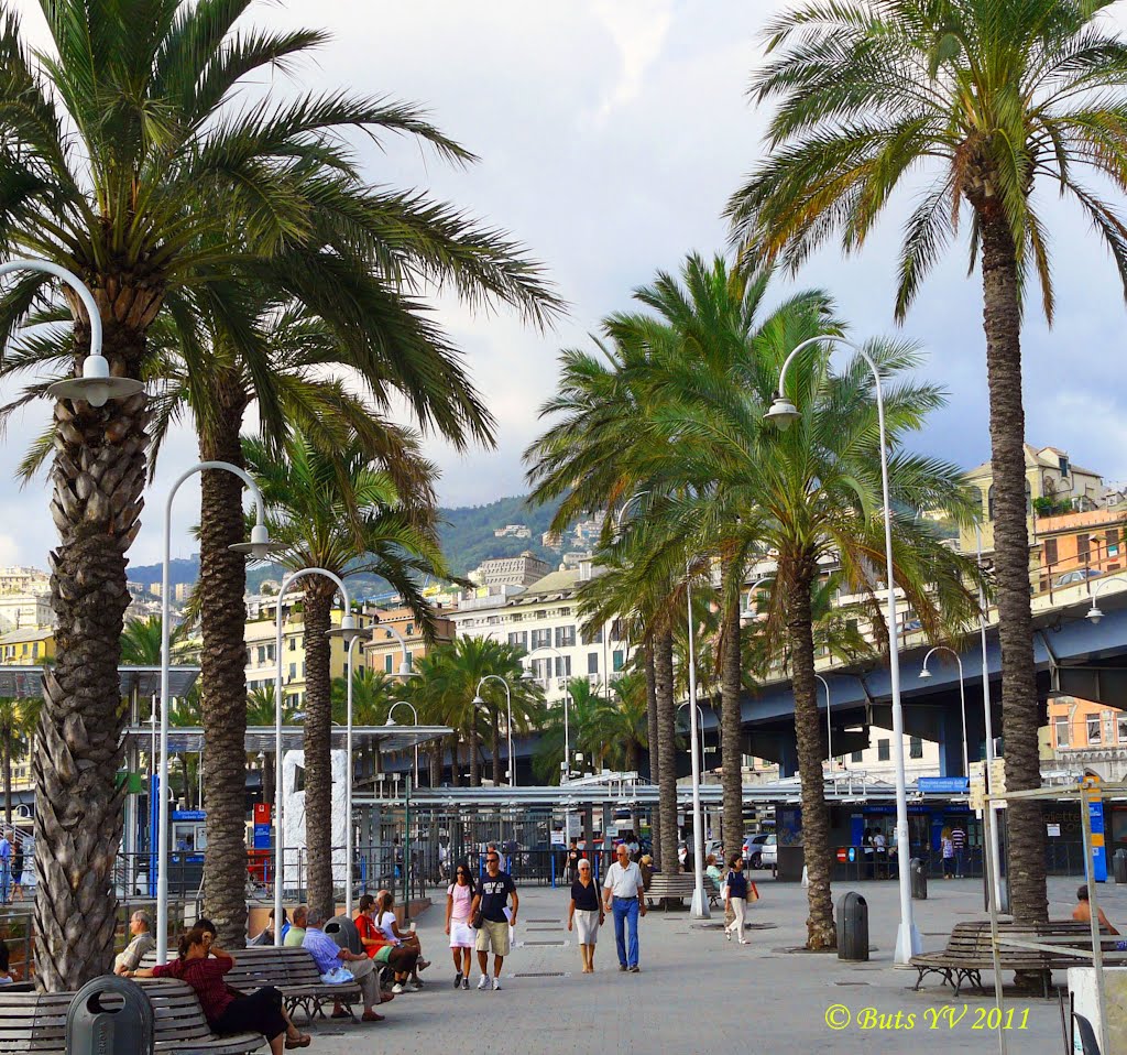 Embankment of Genoa. Набережная Генуи