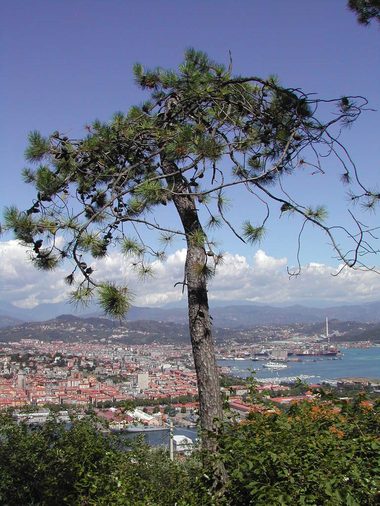 View from the road to La Spezia