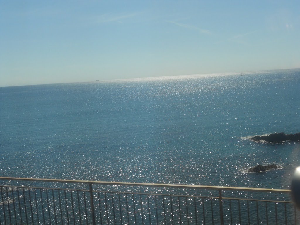 Savona