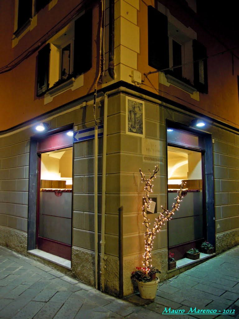 Savona, Via Aonzo angolo Vico del Marmo. Particolare delle vetrine illuminate